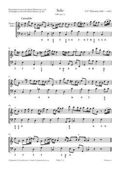 G.P. Telemann, 02 – Instr. Works with Recorder, TWV 41 - Score sample